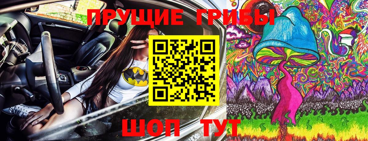 Торжок  Галлюциногенные грибы Psilocybine cubensis  Вход с VPN 